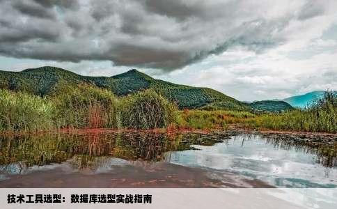 技术工具选型：数据库选型实战指南