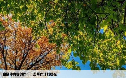 自媒体内容创作：一周写作计划模板