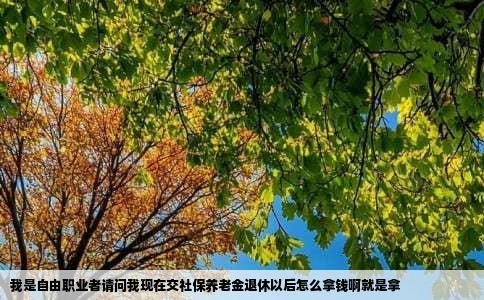 我是自由职业者请问我现在交社保养老金退休以后怎么拿钱啊就是拿