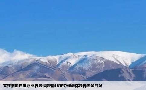 女性参加自由职业养老保险有58岁办理退休领养老金的吗
