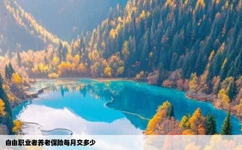 自由职业者养老保险每月交多少