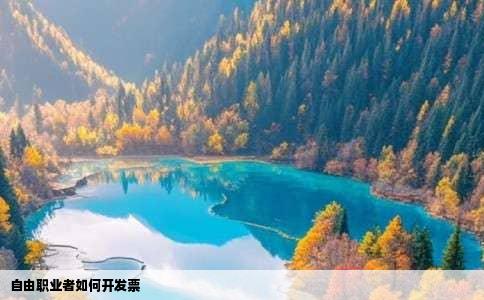 自由职业者如何开发票