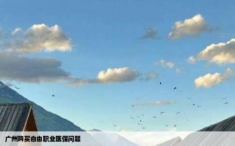 广州购买自由职业医保问题