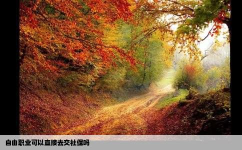 自由职业可以直接去交社保吗