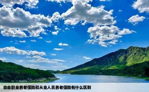 自由职业养老保险和从业人员养老保险有什么区别