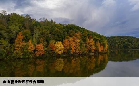 自由职业者现在还办理吗