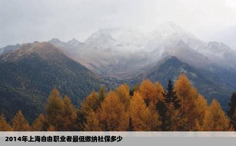 2014年上海自由职业者最低缴纳社保多少