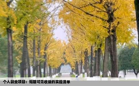 个人副业项目：短期可见收益的实操清单