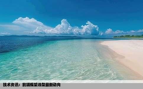 技术资讯：前端框架选型最新动向