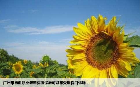 广州市自由职业者购买医保后可以享受医保门诊吗