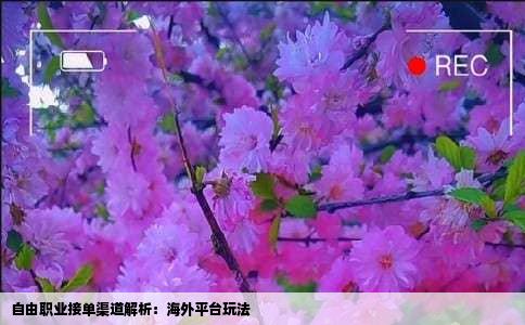 自由职业接单渠道解析：海外平台玩法