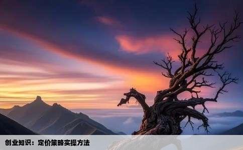 创业知识：定价策略实操方法