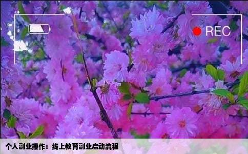 个人副业操作：线上教育副业启动流程