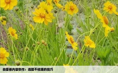 自媒体内容创作：选题不枯竭的技巧