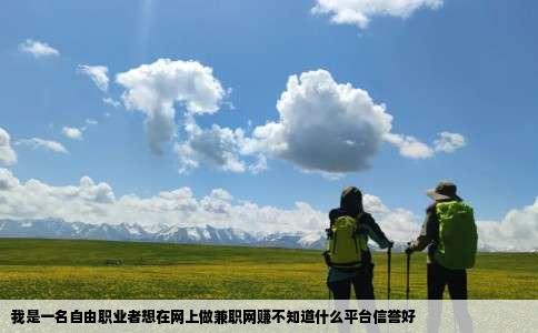 我是一名自由职业者想在网上做兼职网赚不知道什么平台信誉好