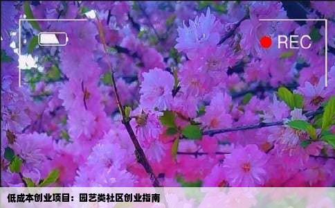 低成本创业项目：园艺类社区创业指南