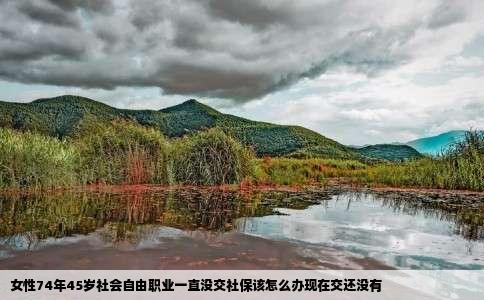 女性74年45岁社会自由职业一直没交社保该怎么办现在交还没有