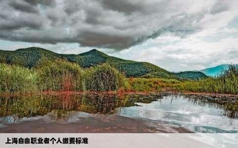 上海自由职业者个人缴费标准