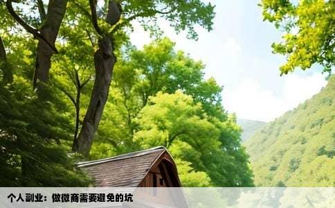 个人副业：做微商需要避免的坑