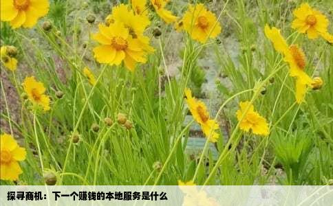 探寻商机：下一个赚钱的本地服务是什么