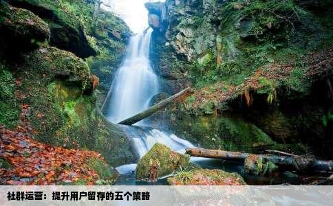 社群运营：提升用户留存的五个策略