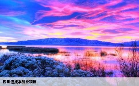 四川低成本创业项目