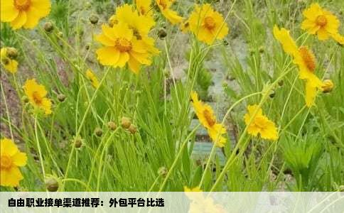 自由职业接单渠道推荐：外包平台比选