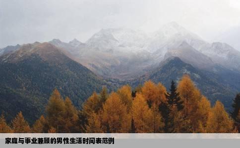 家庭与事业兼顾的男性生活时间表范例