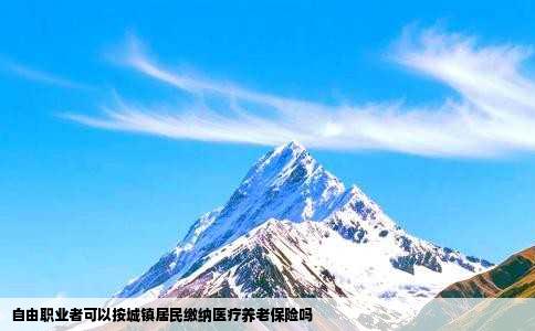 自由职业者可以按城镇居民缴纳医疗养老保险吗