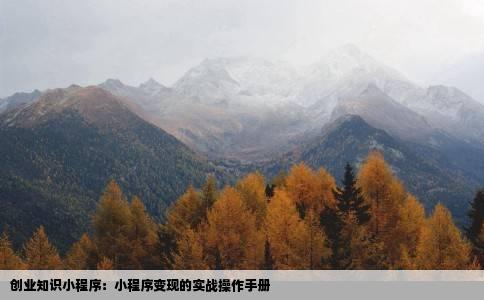创业知识小程序：小程序变现的实战操作手册