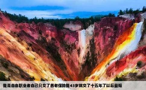 我是自由职业者自己只交了养老保险我43岁就交了十五年了以后最短