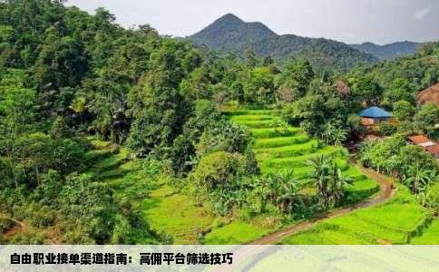 自由职业接单渠道指南：高佣平台筛选技巧