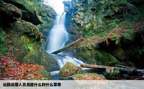 社群运营人员是做什么的什么意思