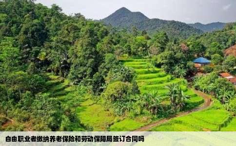 自由职业者缴纳养老保险和劳动保障局签订合同吗