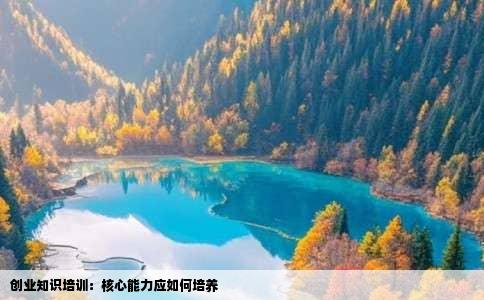 创业知识培训：核心能力应如何培养