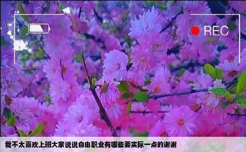 我不太喜欢上班大家说说自由职业有哪些要实际一点的谢谢