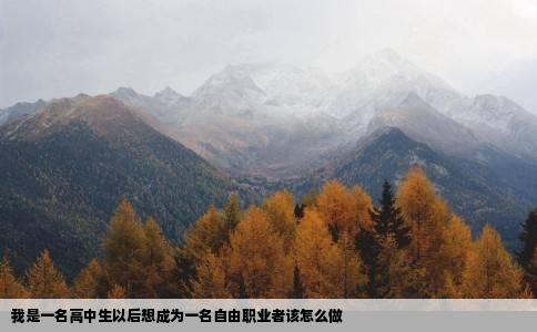 我是一名高中生以后想成为一名自由职业者该怎么做