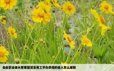 自由职业者从智惠薪灵活用工平台获得的收入怎么缴税