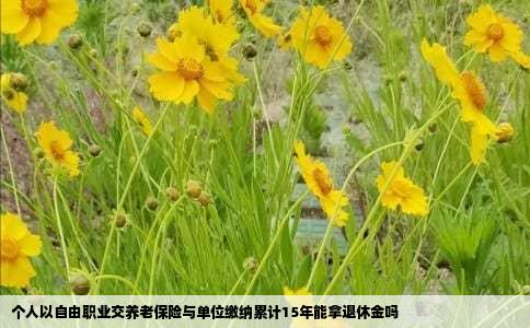 个人以自由职业交养老保险与单位缴纳累计15年能拿退休金吗