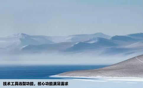 技术工具选型功能，核心功能满足需求