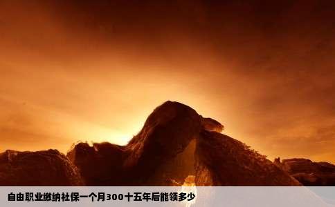 自由职业缴纳社保一个月300十五年后能领多少