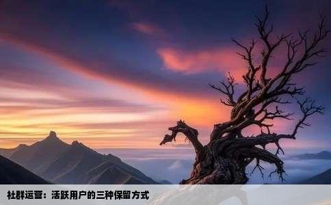 社群运营：活跃用户的三种保留方式