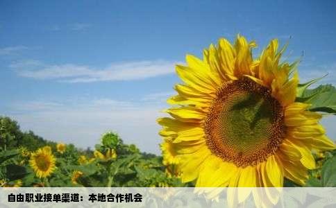 自由职业接单渠道：本地合作机会