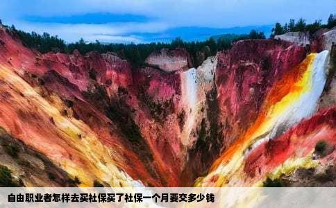 自由职业者怎样去买社保买了社保一个月要交多少钱