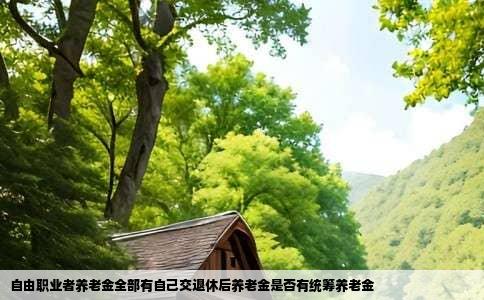 自由职业者养老金全部有自己交退休后养老金是否有统筹养老金