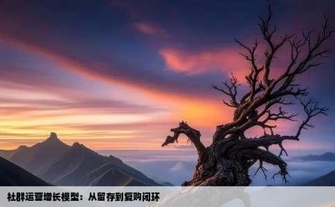 社群运营增长模型：从留存到复购闭环