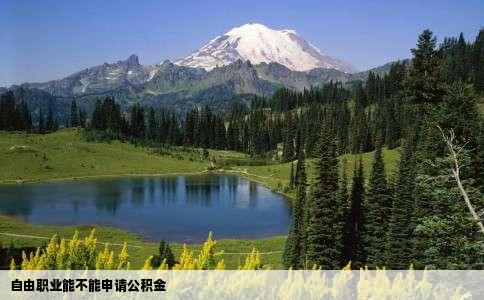 自由职业能不能申请公积金