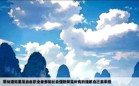 想知道如果是自由职业者参加社会保险就是所有的钱都自己来承担
