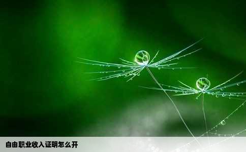 自由职业收入证明怎么开