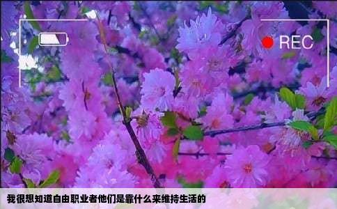 我很想知道自由职业者他们是靠什么来维持生活的